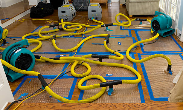 Professional Basement Flood Cleanup technician working in Alva, OK